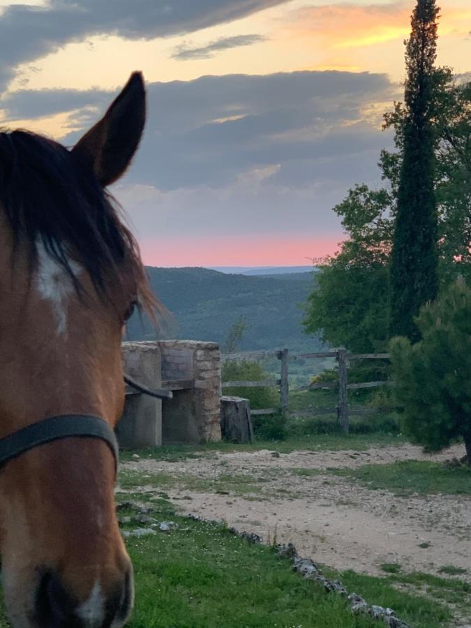 Cabanas Buenache Buenache de la Sierra Zewnętrze zdjęcie