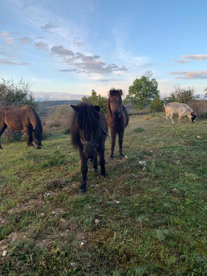 Cabanas Buenache Buenache de la Sierra Zewnętrze zdjęcie