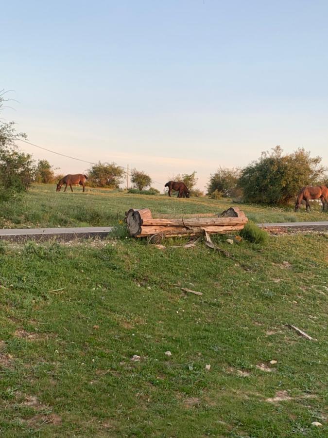 Cabanas Buenache Buenache de la Sierra Zewnętrze zdjęcie